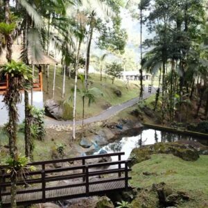 Sitio Em Rio Dos Cedros Com Cachoeira - SC