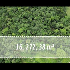 Terreno no Bairro Rega em Pomerode com 16.272 m²